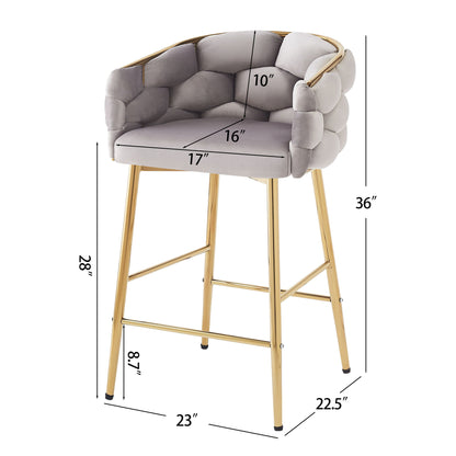 Modern Counter Stools (Set of 2)